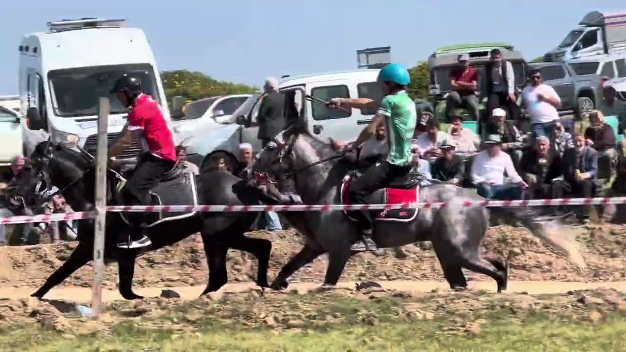Kumru Düzoba Rahvan At Yarışları Deste Final (11.07.2025)