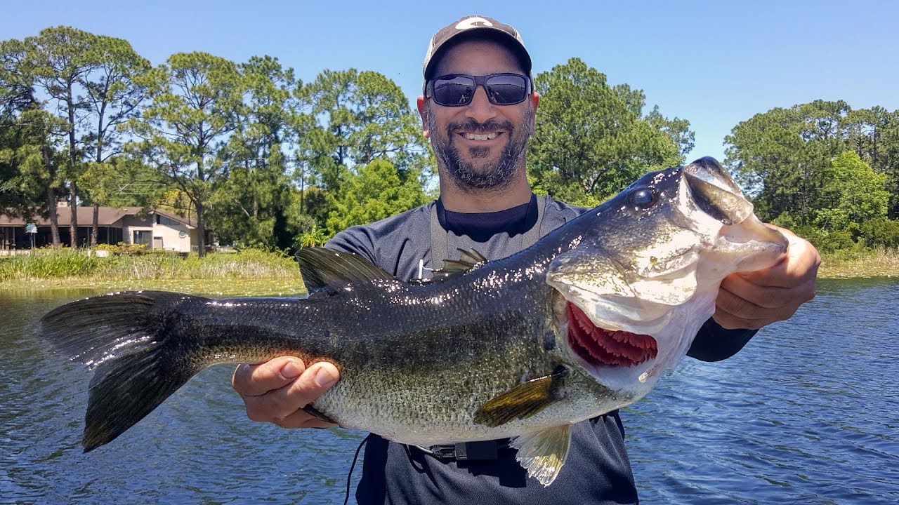 GIANT BASS & BIG NUMBERS in Orlando!!! (Florida Bass Fishing)
