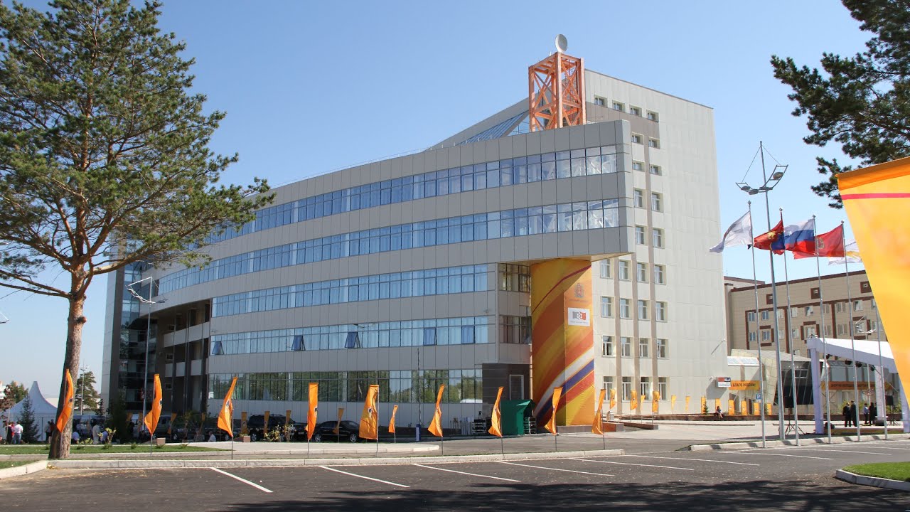 School of Petroleum and Natural Gas Engineering Siberian Federal University