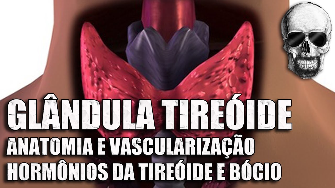 Vídeo Aula 153 | Sistema Endócrino | Anatomia Humana | Glândula Tireóide: Anatomia e Hormônios