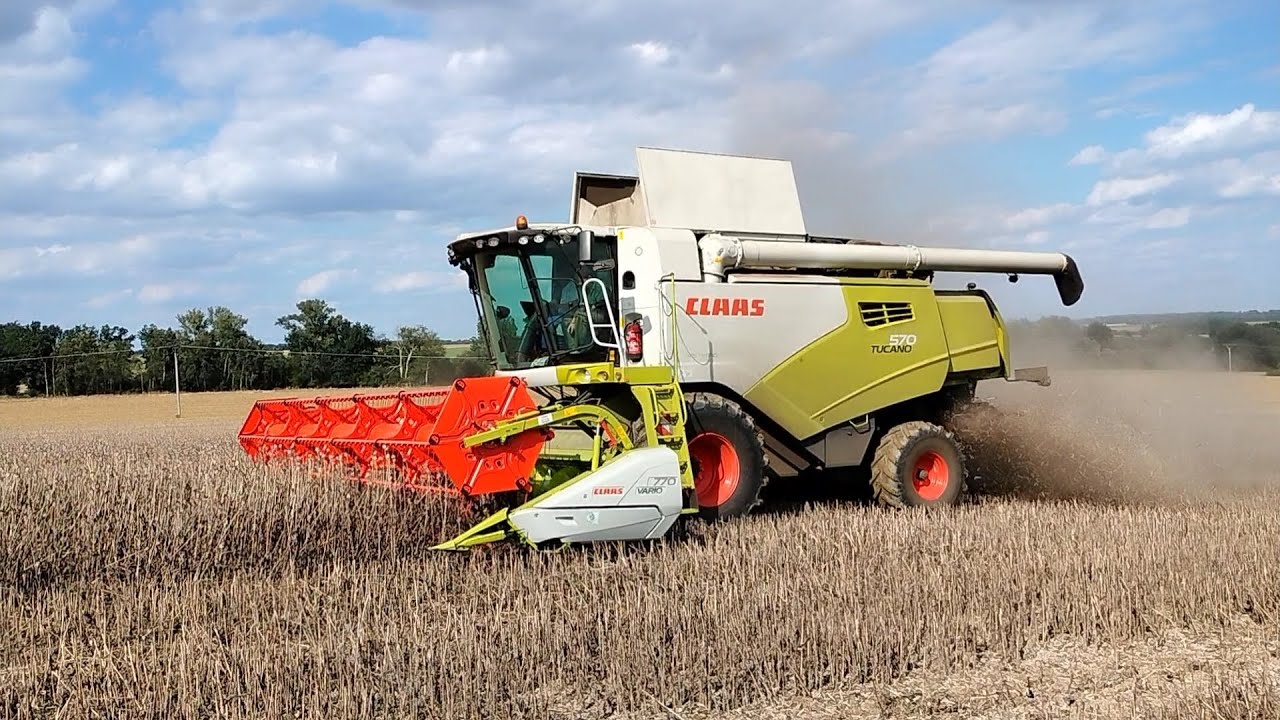 ŽNĚ 2023 /sklizeň máku /Claas Tucano 570 /Zetor Forterra 140 a 135 /Real Agro