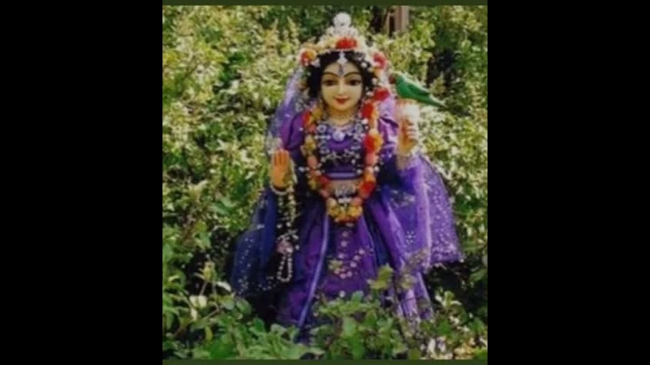 Tulasi Devi Maharani Ki Jay Vrnda Astaka canção em português