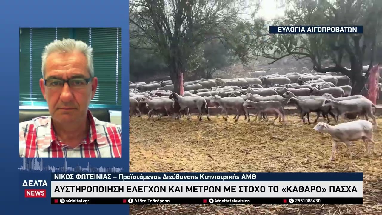 Ευλογιά αιγοπροβάτων: Μειώνονται τα κρούσματα – Αυστηροί έλεγχοι για «καθαρό» Πάσχα