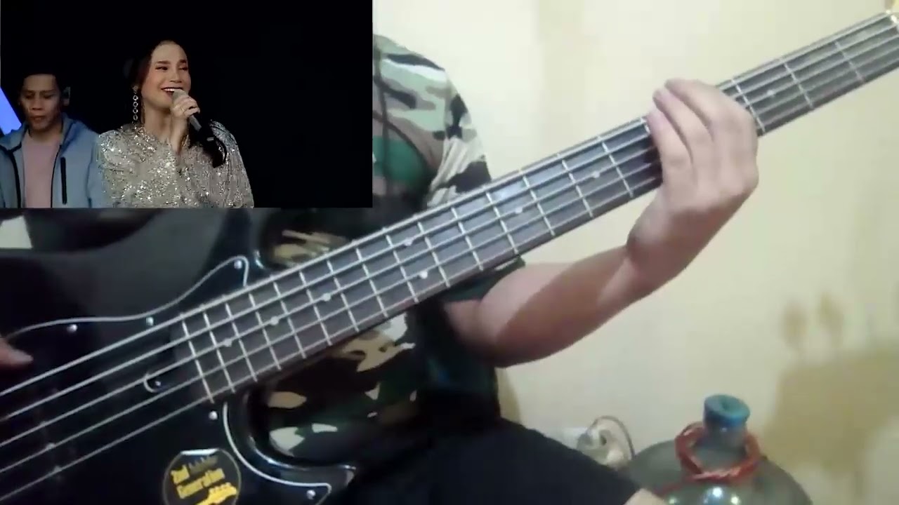 Bass cover 