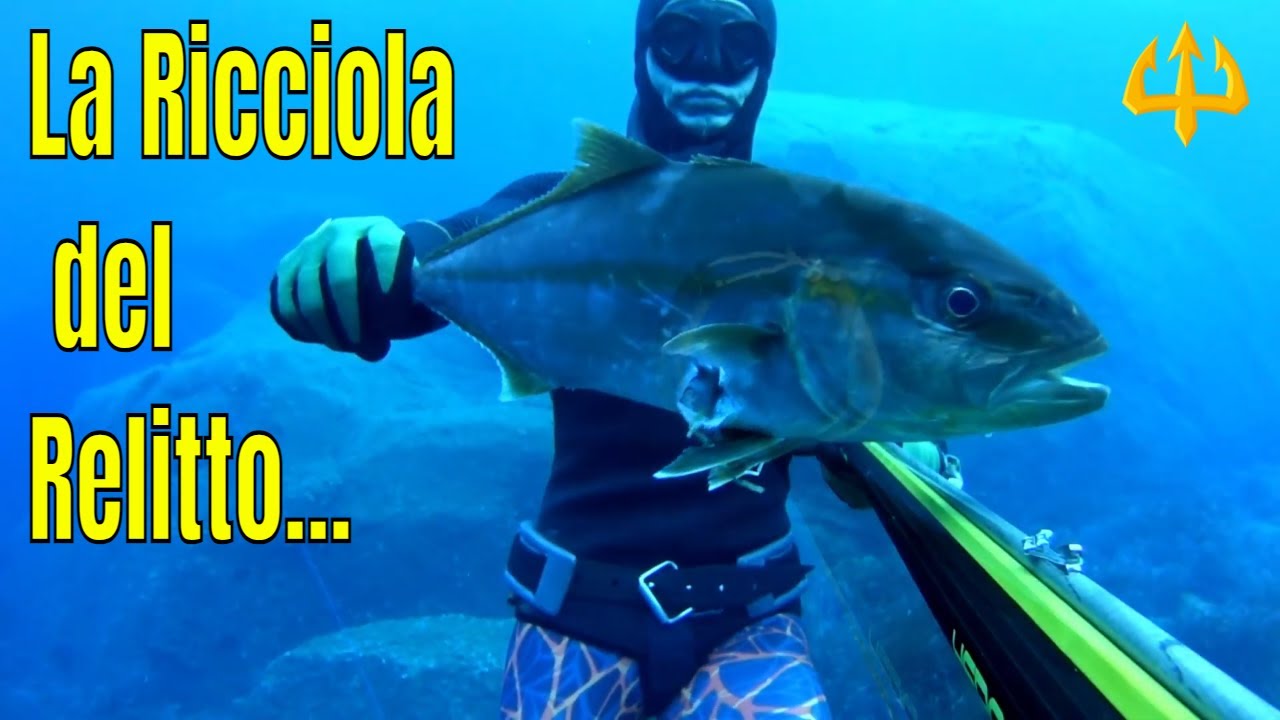 Pesca sub   :   🔱 La Ricciola del Relitto. (Spearfishing Sardegna)