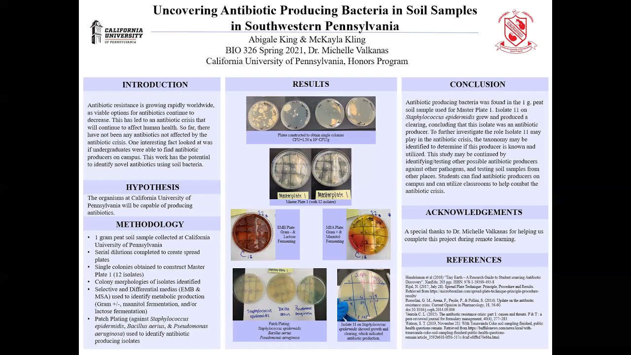 The Uncovering of Antibiotic Producing Bacteria in Soil Samples - Kling, King.