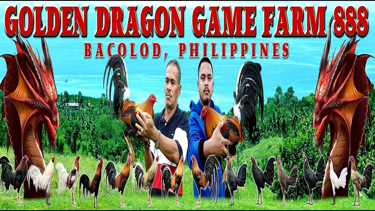 Welcome To The Range Area Of Golden Dragon Game Farm 888