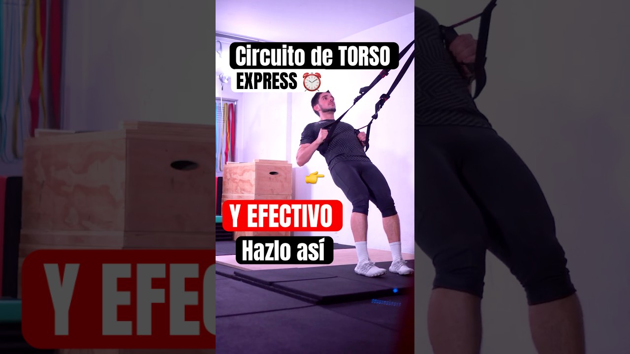 Entrena tu TORSO con este Circuito en Casa y tu peso corporal ✅ De forma efectiva y r&aacute;pida
