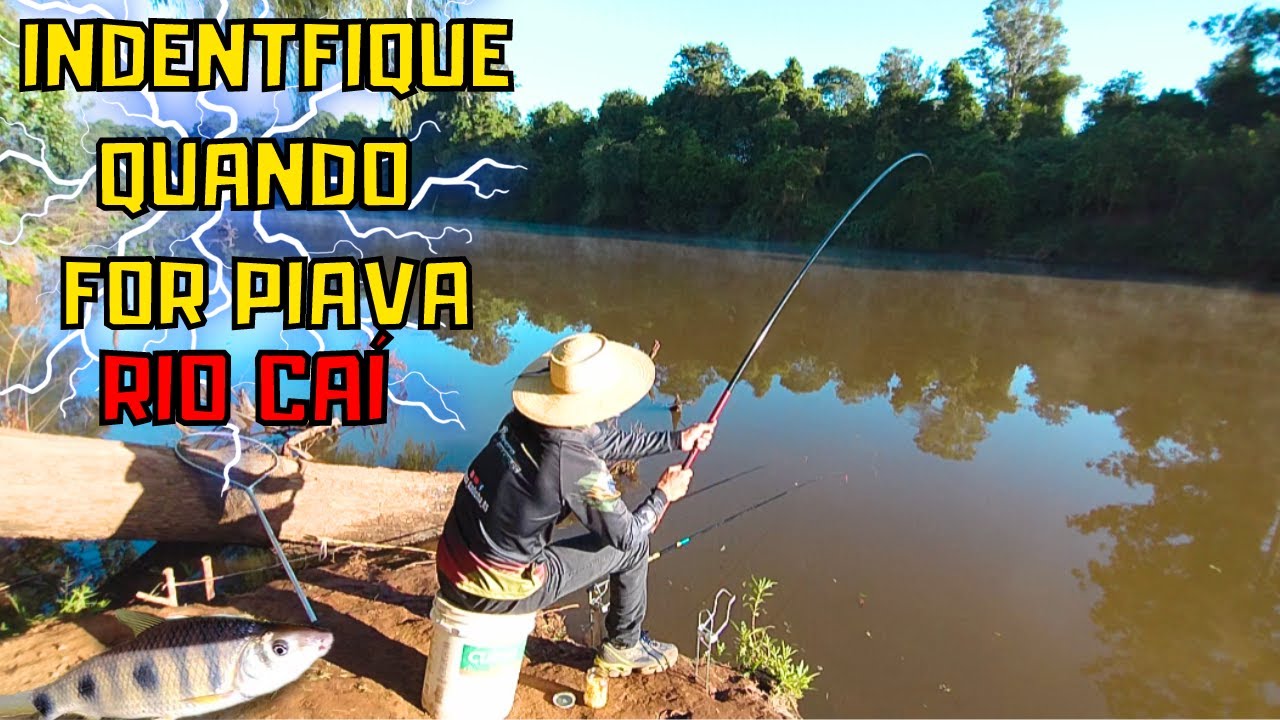 COMO PESCAR AS PIAVAS(PIAPARA) DO RIO CAÍ - DICAS DE PESCARIA - PESCARIA DE PIAPARA