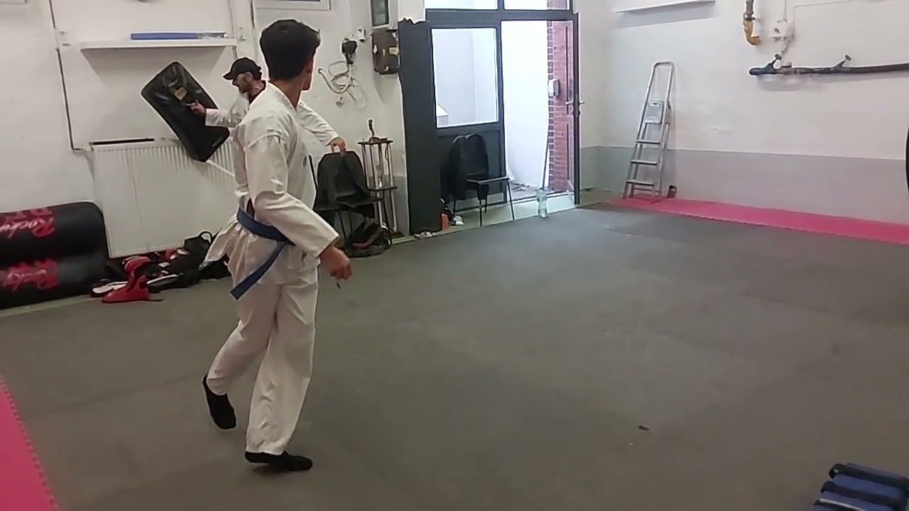 Taekwondo tymien yop chagi
