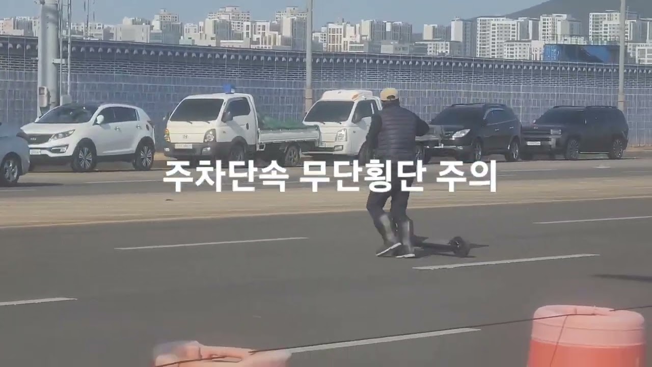 #영종도숭어훌치기시즌  #2~12물 #오후들물때   #만조2시간전 시작   #조기출조자리확보필수 