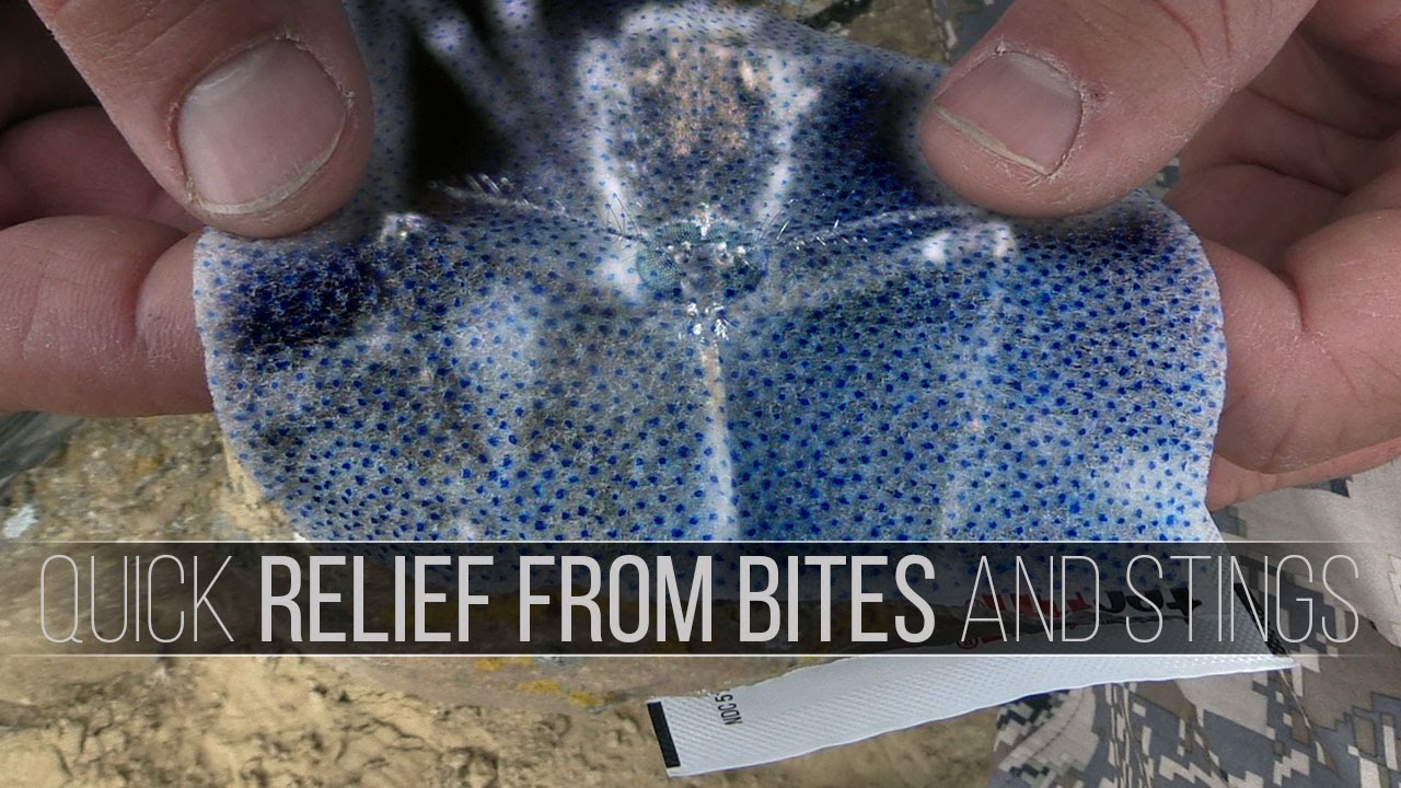 Relief from Bug Bites and Stings, FAST!