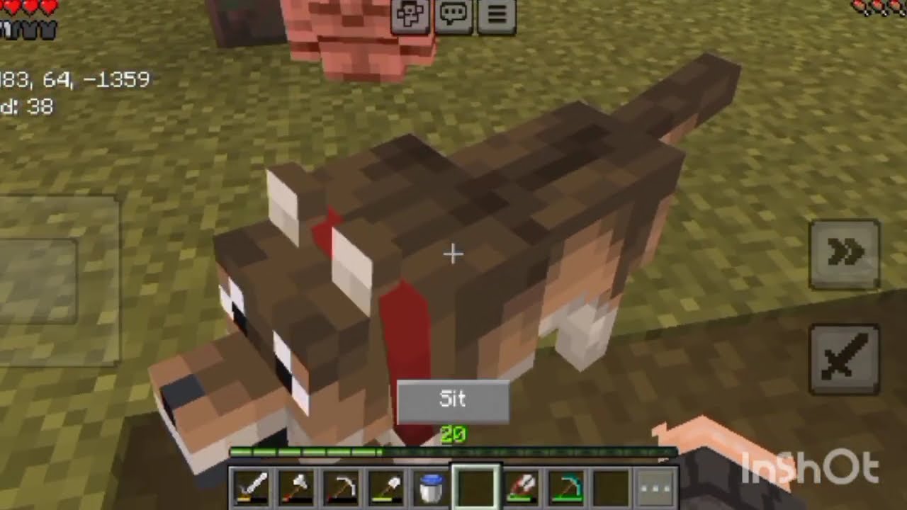 Playing minecraft after a long time 