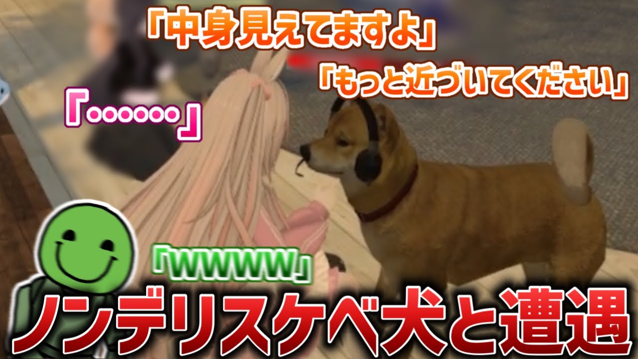 【VRC】ノンデリスケベ犬にVRチャットの楽しみ方を教えるはりーシ【2026/01/24】