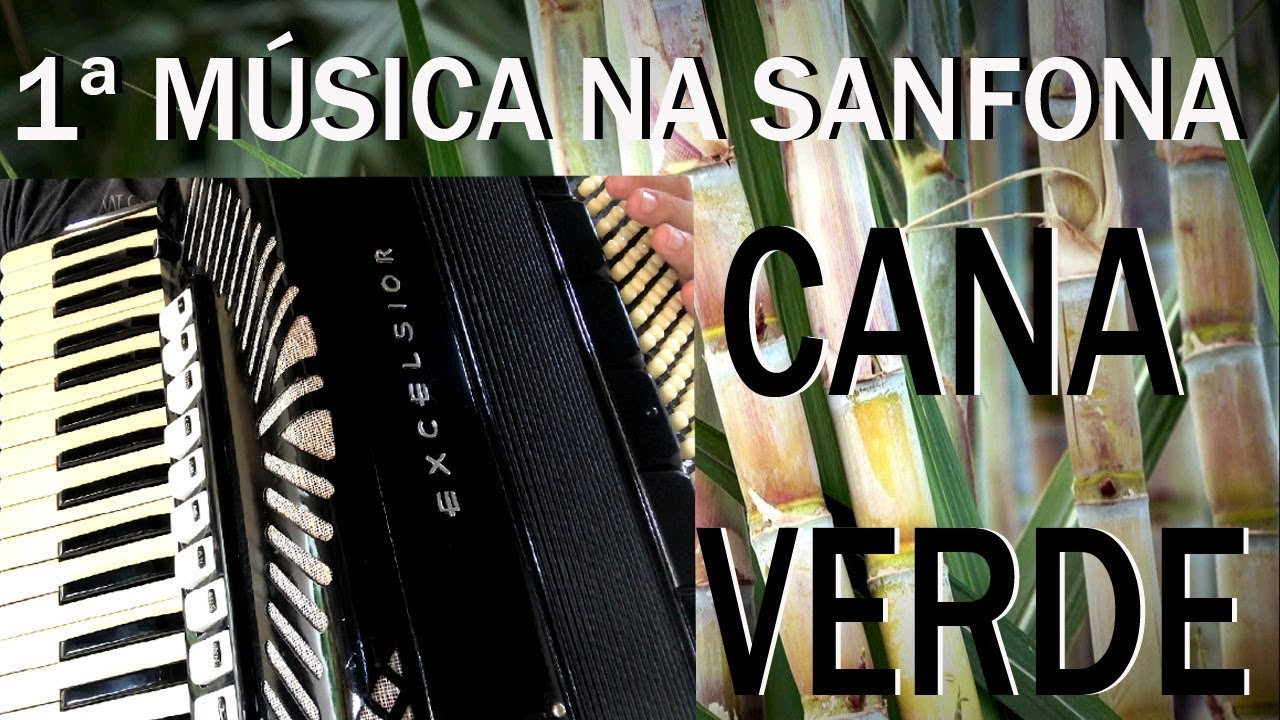 1ª música na sanfona - Cana Verde #muitofacil