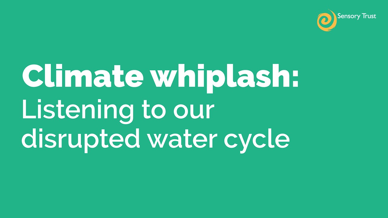 Climate whiplash: listening to our disrupted water cycle