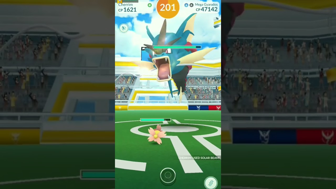 Pokemon Go gym battle|| cherrim vs mega gyrados#pokemongo #pok&eacute;mon #animeedit #gymbattle #anime