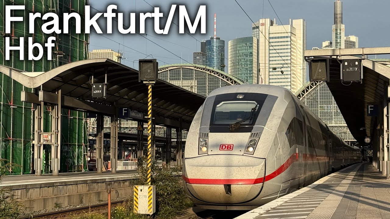 Züge in Frankfurt/M Hbf bei goldenem Novemberwetter | mit ICE L