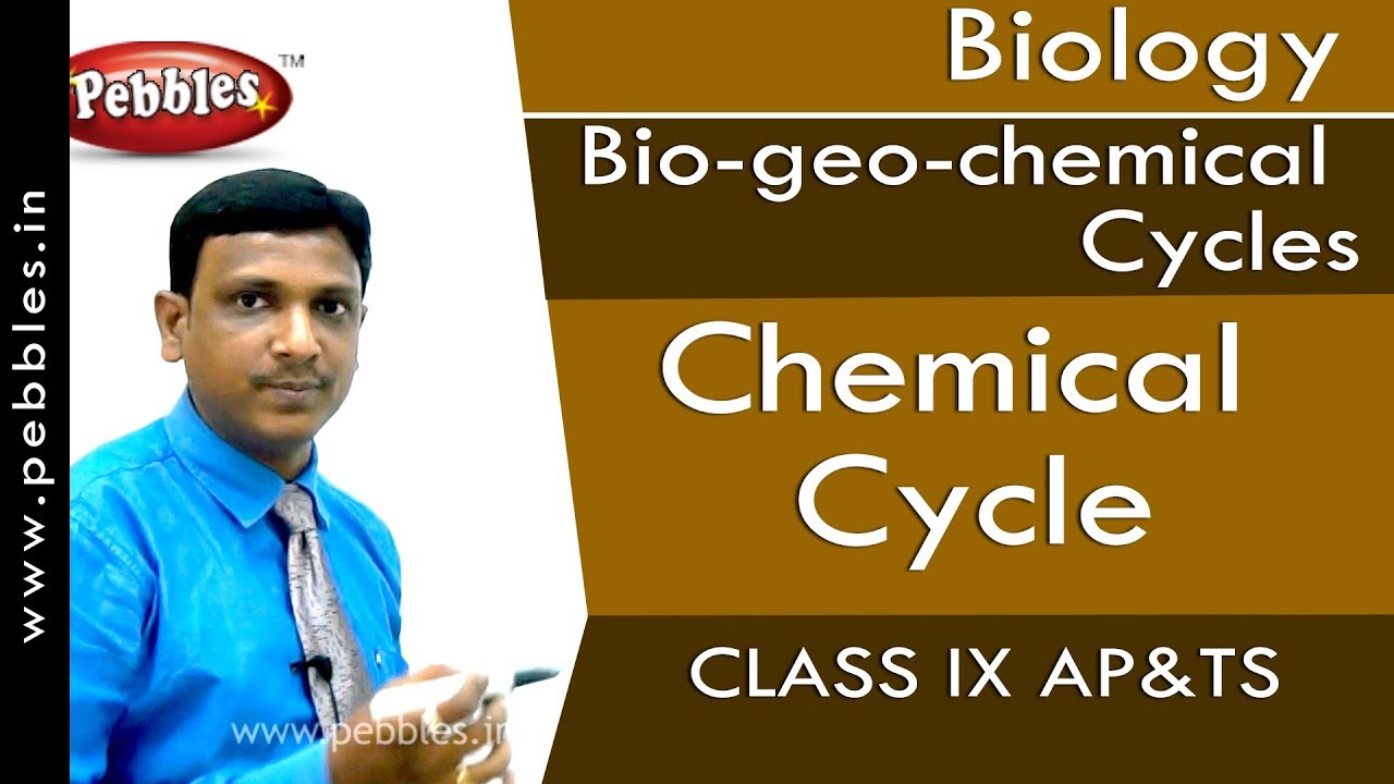 Chemical Cycle : Bio-geo-chemical Cycles | Biology | Class 9 | AP&TS