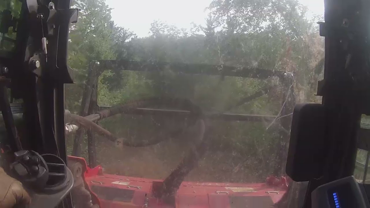 Brush clearing after we took out all the plantation pine