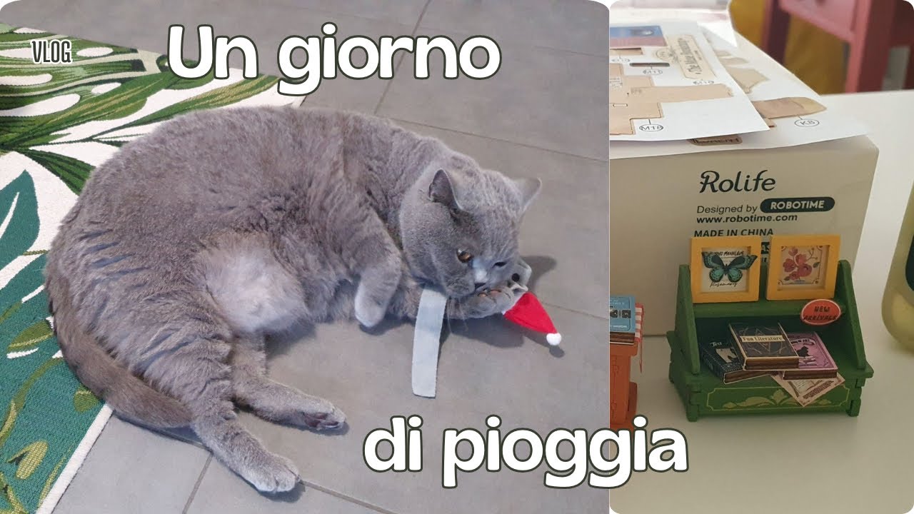 Giornata di pioggia e piccoli hobby