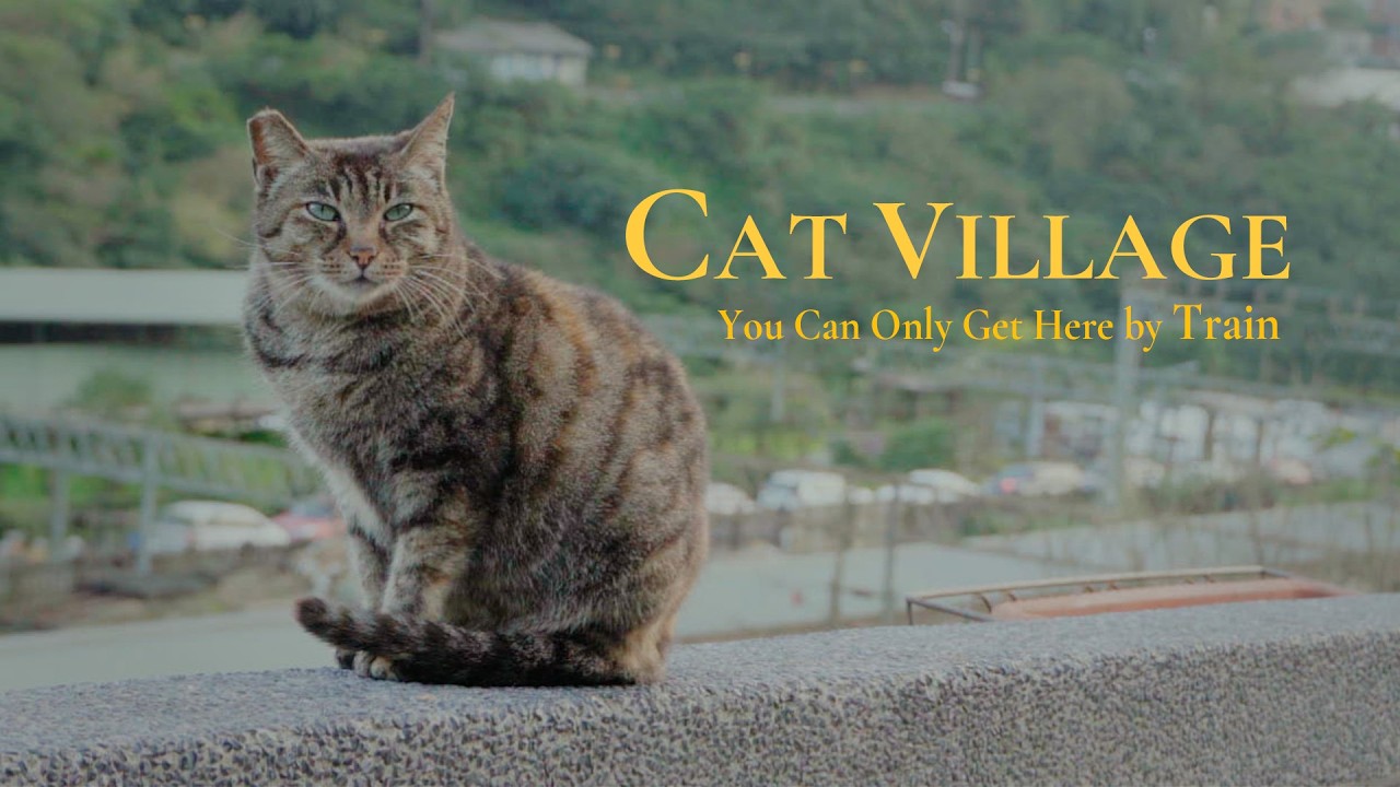 A Quiet Day in Taiwan's Cat Village｜Slow Travel to Sandiaoling