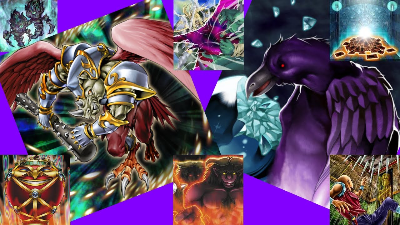 This Winged Rhynos deck that TheMacroShow made summons jank decks or should I say BASED decks