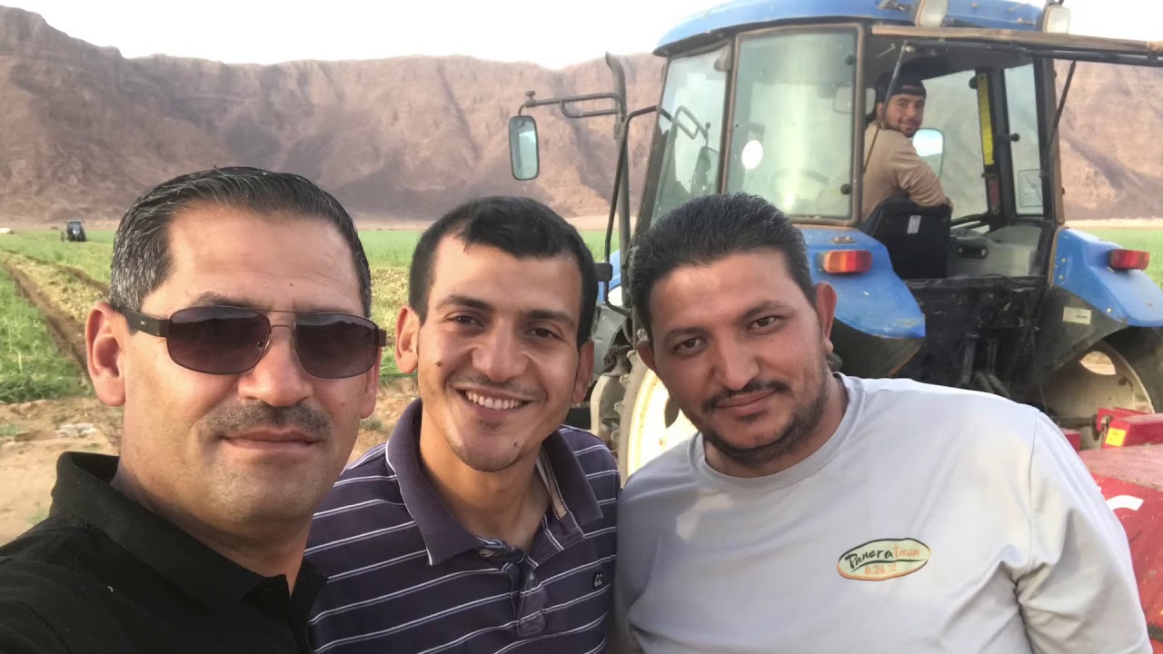 زراعة البصل في الاردن   شركة رم الزراعية