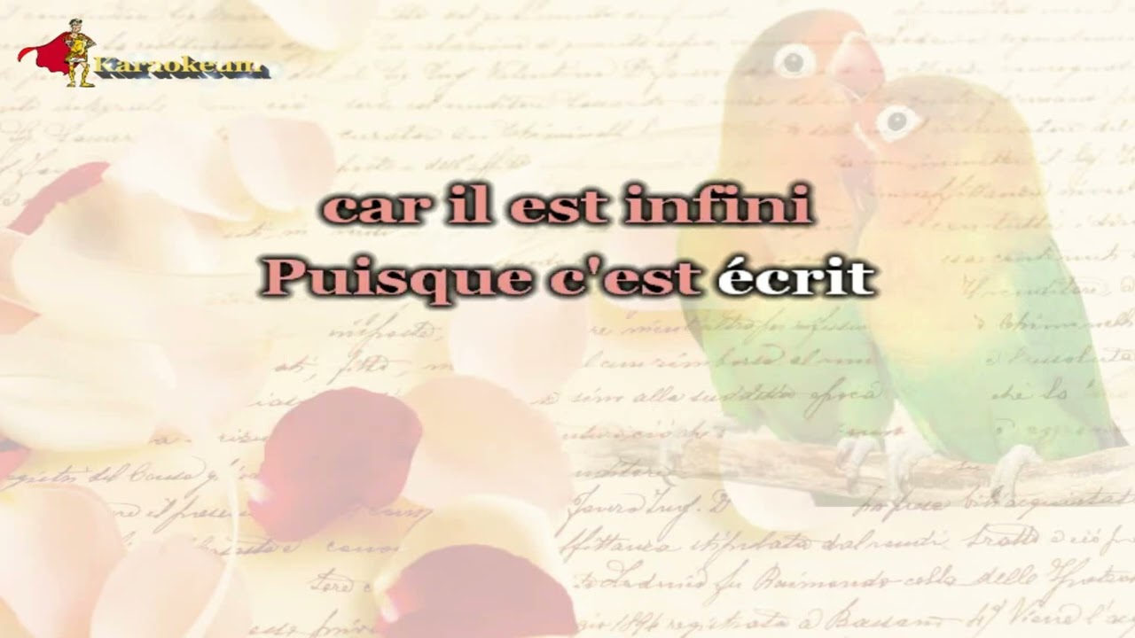 Jean Baptiste Guégan - Puisque c'est écrit  [Karaoke]