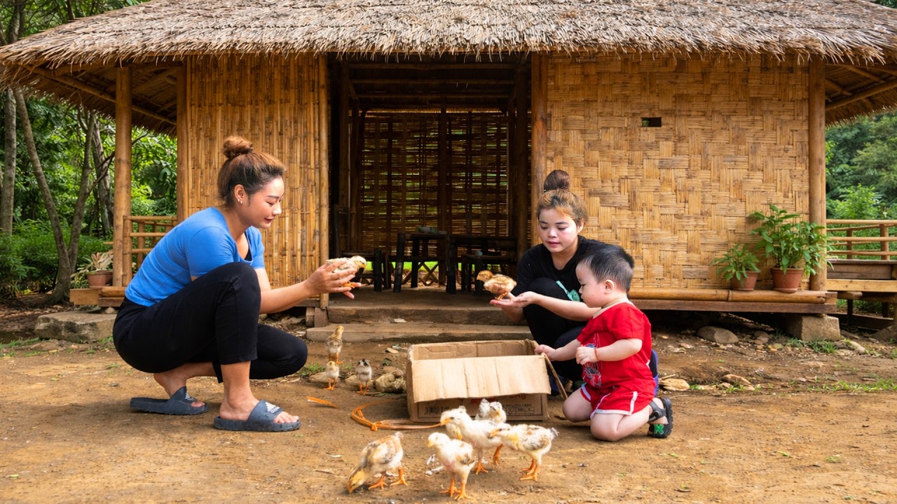 From struggle to hope: Sister gives chickens to help single mother rise