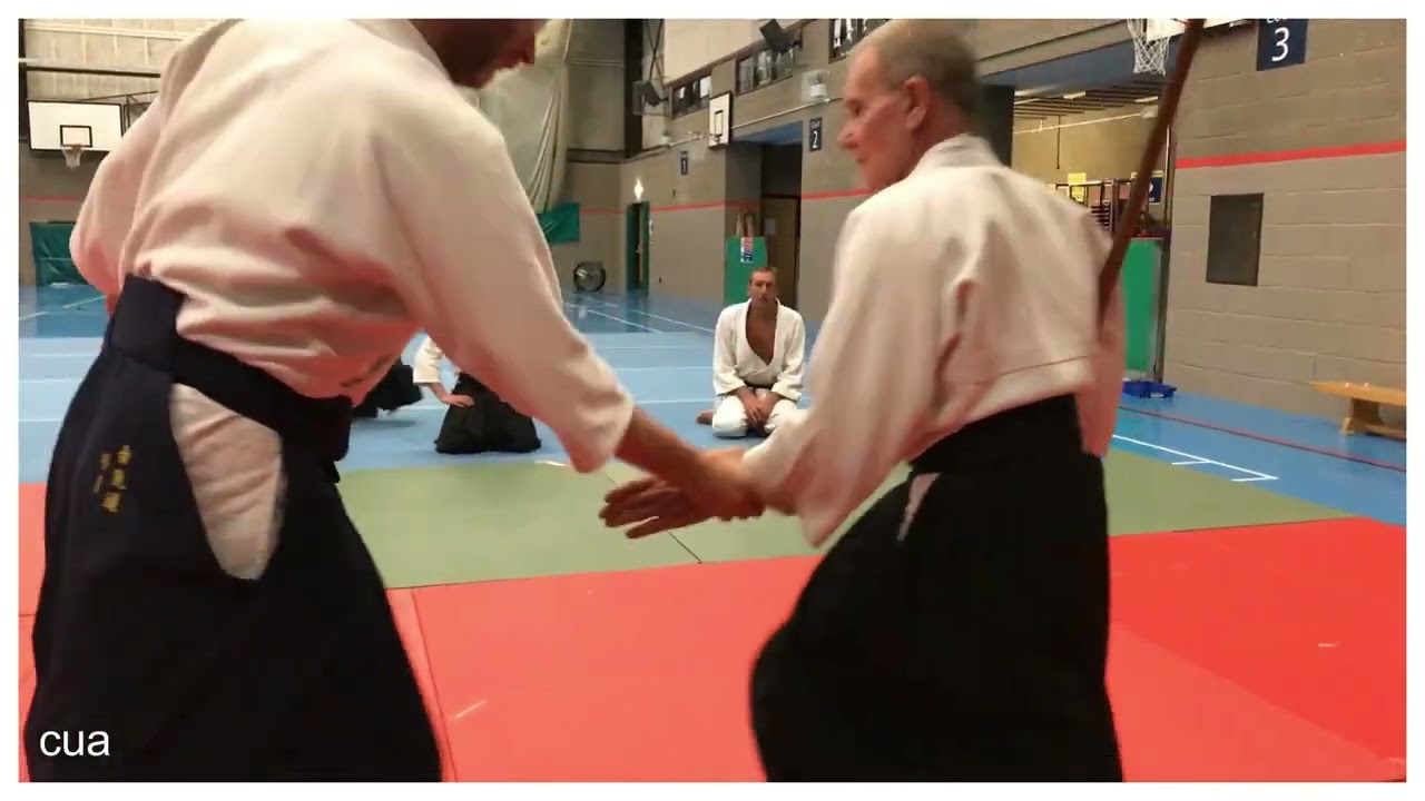 Aikido : course in New Milton