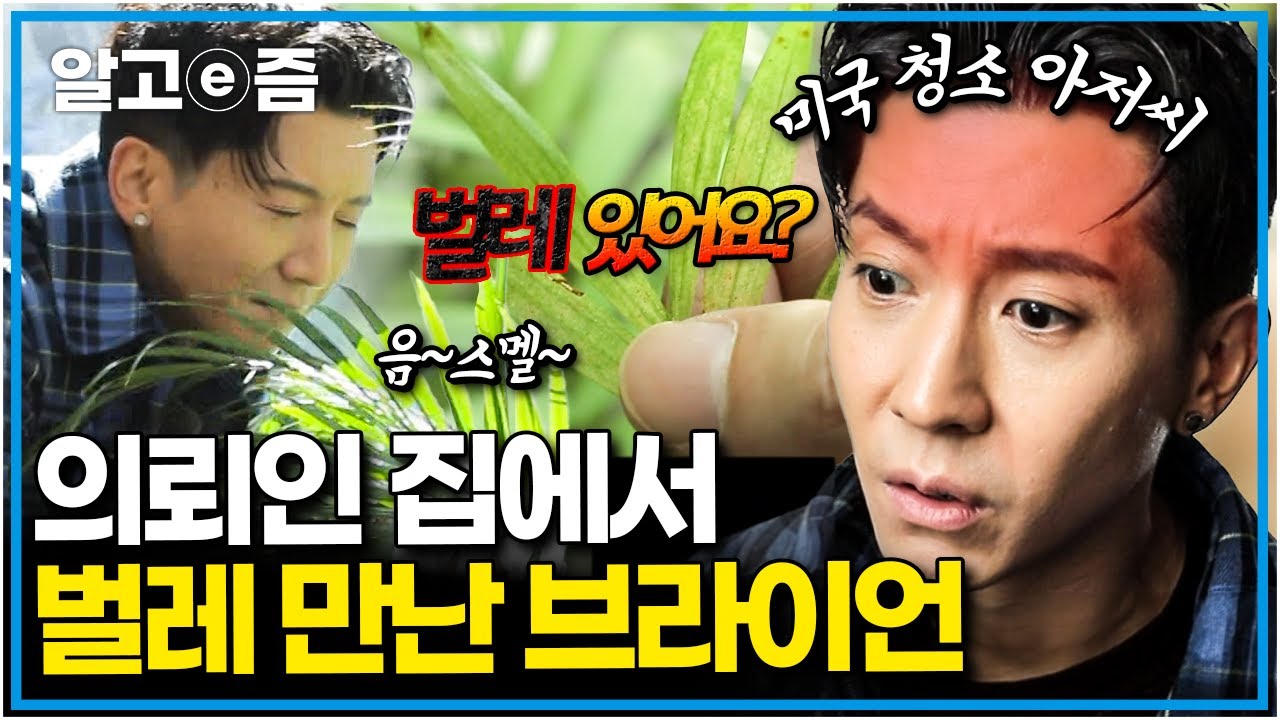 청소광 브라이언 전에 꽃을 사랑하는 남자 브라이언이 있었다..! ‘갱년기 엄마를 위한 힐링 정원’ 의뢰를 받게 되는데 │소소한 행복,정원일기│알고e즘