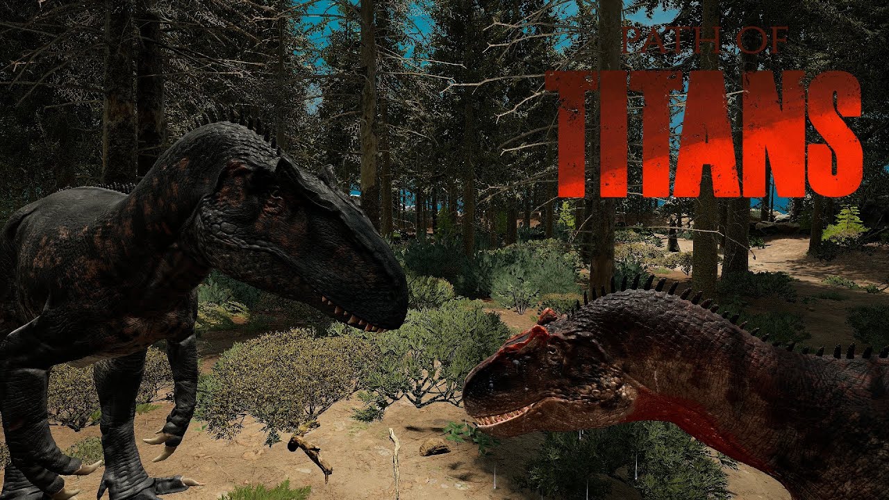 Allo vs Allo and Rex
