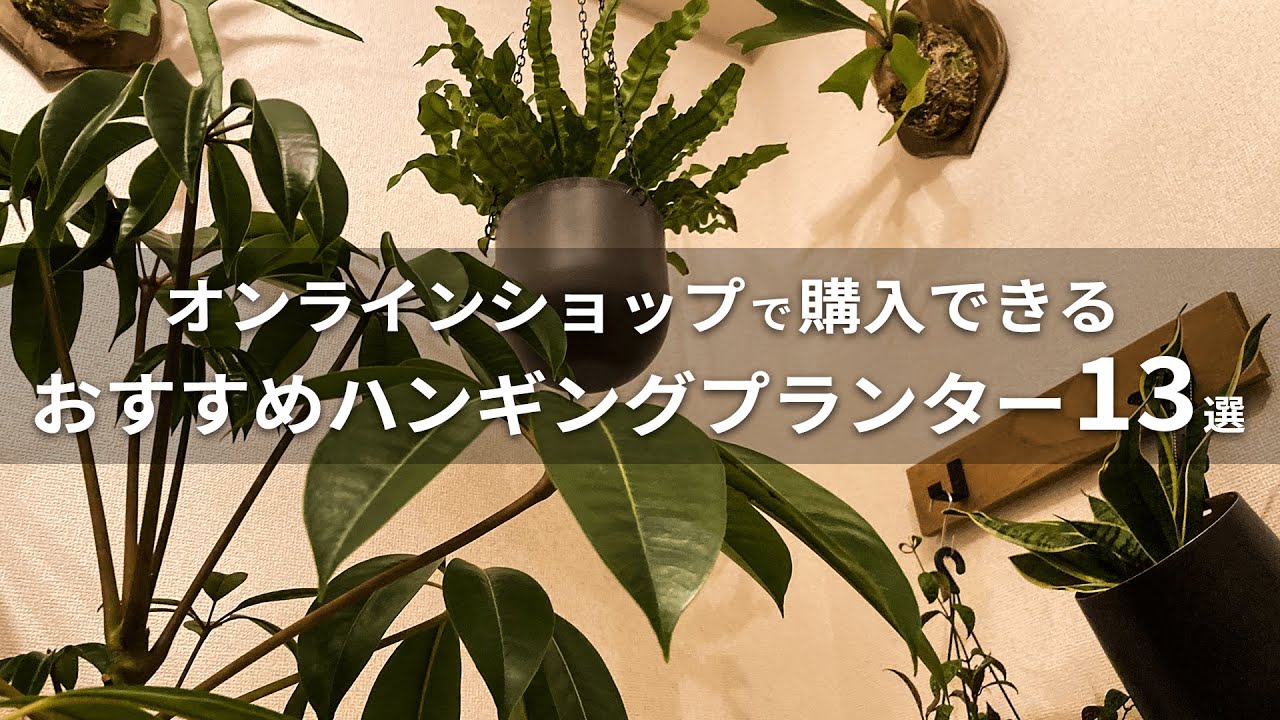 【観葉植物】ハンギングをより楽しくおしゃれに！ネットショップで買えるおすすめハンギングプランター・ポットハンガー13選 | モダンなものからナチュラルなものまで | 値段や素材、特徴まで解説