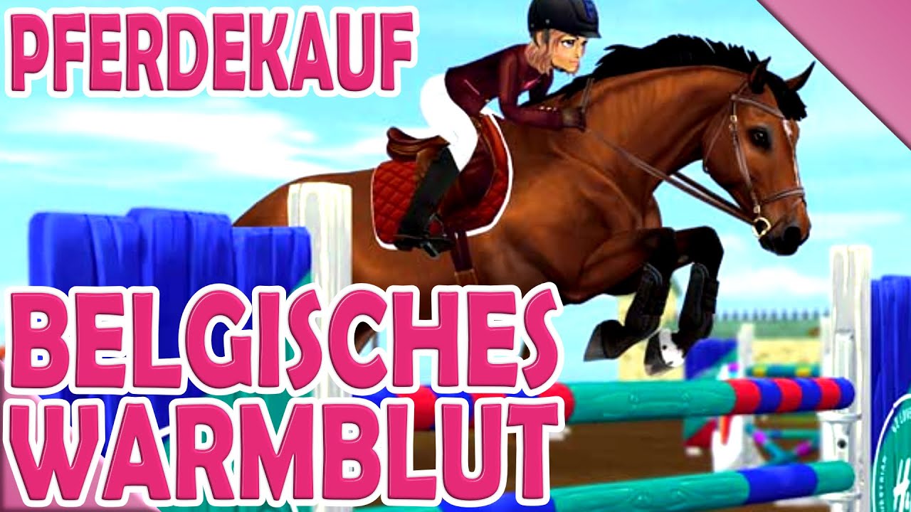𝐁𝐄𝐋𝐆𝐈𝐒𝐂𝐇𝐄𝐒 𝐖𝐀𝐑𝐌𝐁𝐋𝐔𝐓 - 𝐏𝐅𝐄𝐑𝐃𝐄𝐊𝐀𝐔𝐅 🐴 Star Stable Online