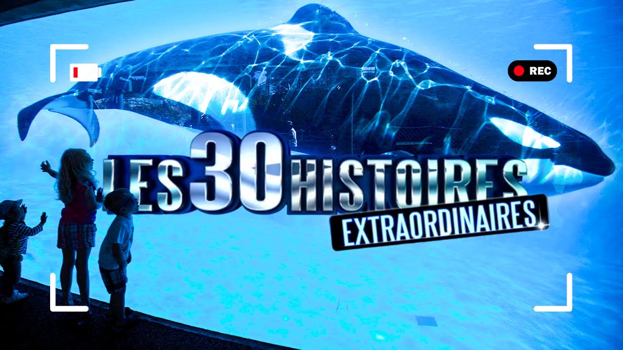 30 NOUVELLES histoires EXTRAORDINAIRES ! 🤩 À voir absolument ! - PE032010