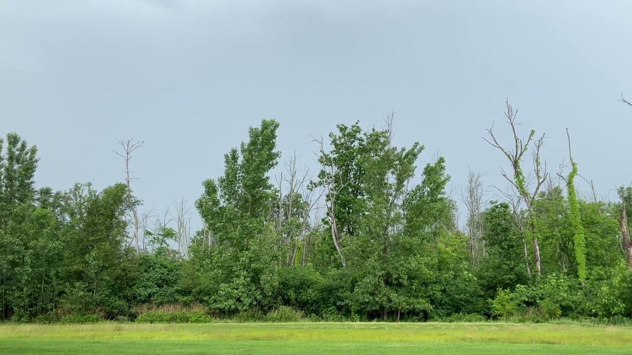 Afternoon thunderstorm comes through the area