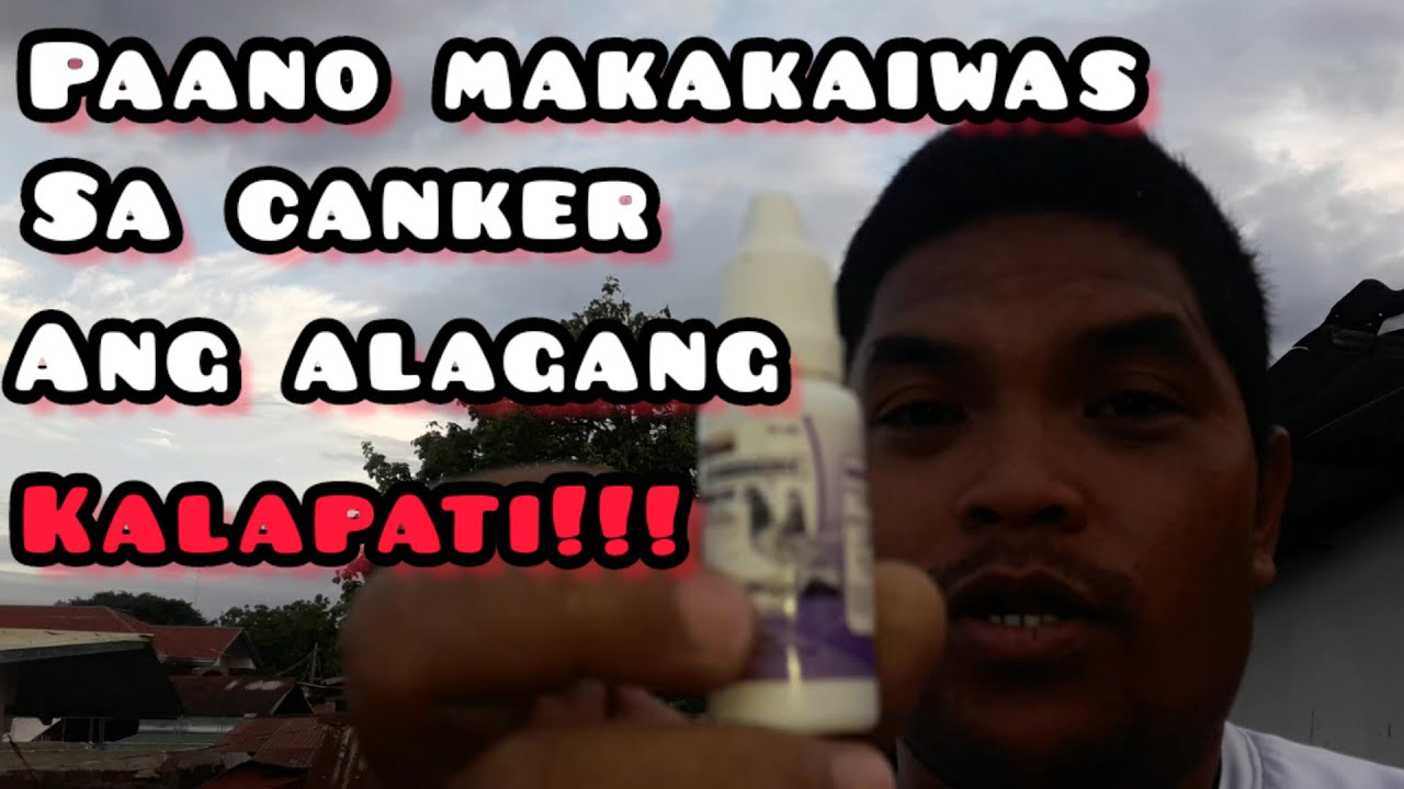 PAANO MAKAKAIWAS SA CANKER ANG ALAGANG KALAPATI | METRONIDAZOLE | ANTI CANKER