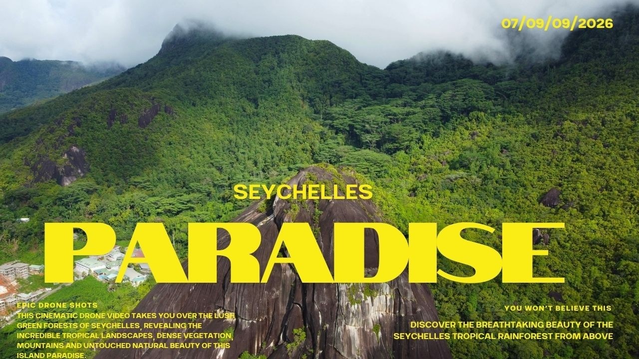 Seychelles Tropical Rainforest 🇸🇨 | Breathtaking Drone Views of a Tropical Paradise in 4K