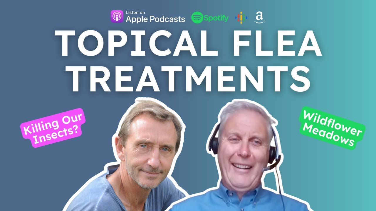 We Need To Stop Using Topical Flea Treatments On Our Pets - Dave Goulson | VETchat | Vet Podcast