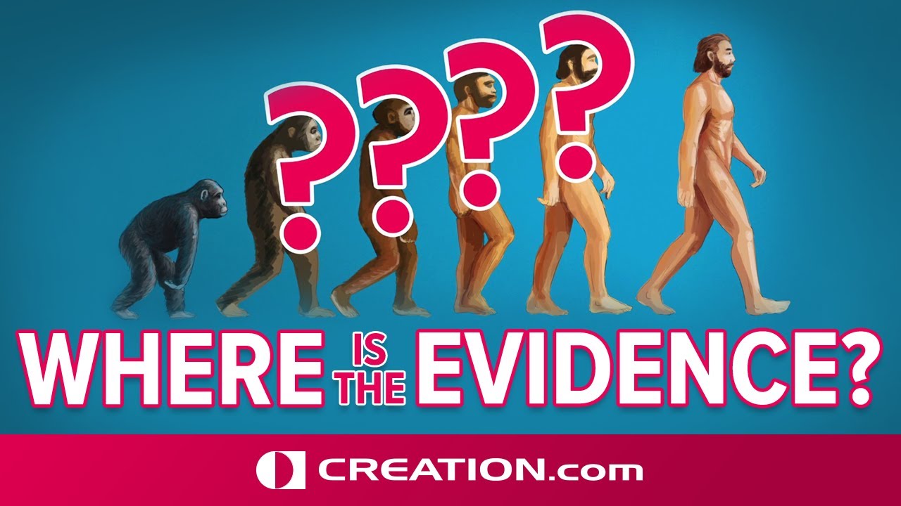 Where is the evidence for the ape-to-man transition?