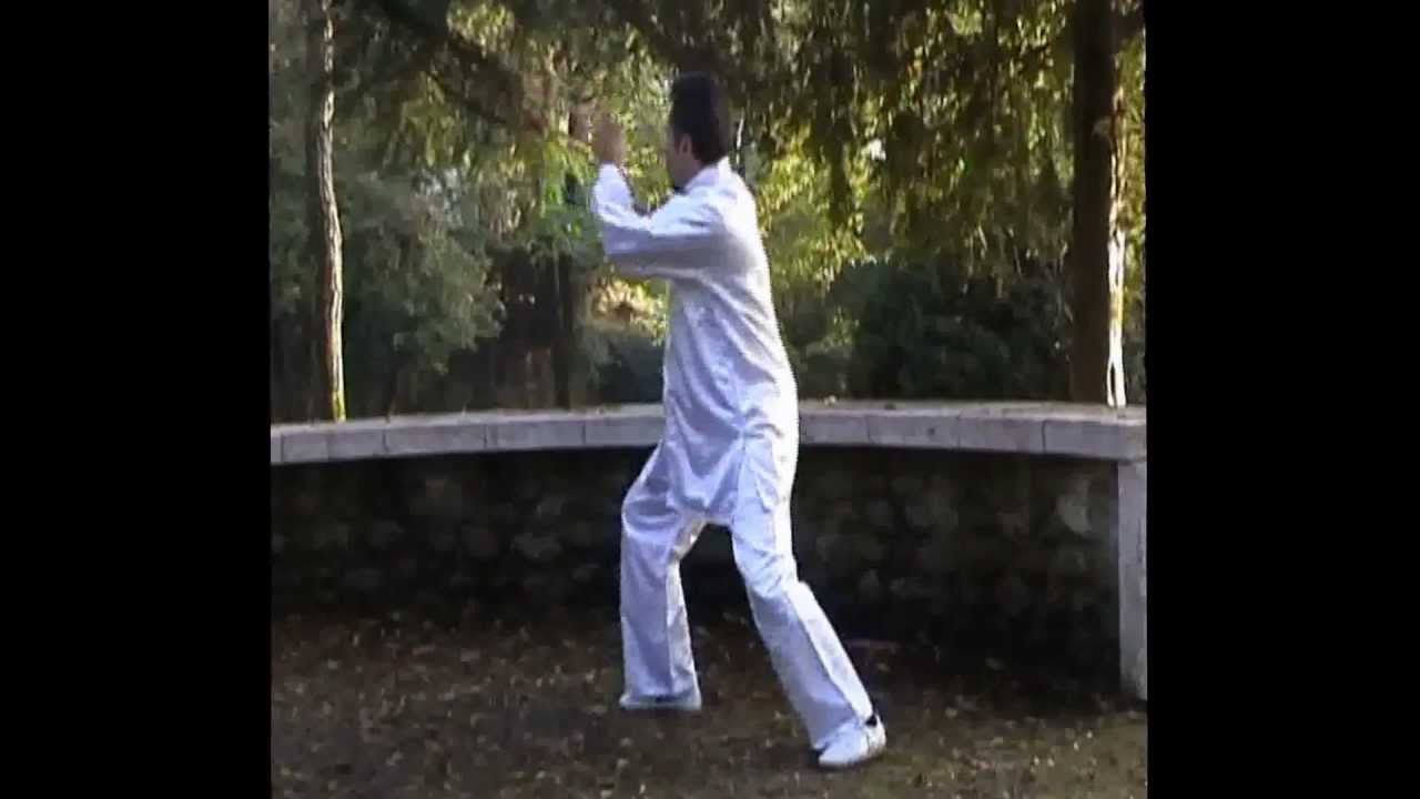 G S Tai Chi Lu