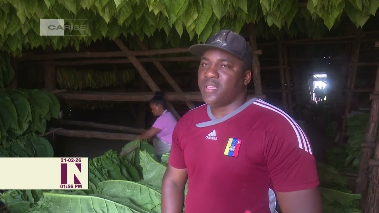 Juankiel Pulgaron León, agricultor de avanzada en San Juan y Martínez