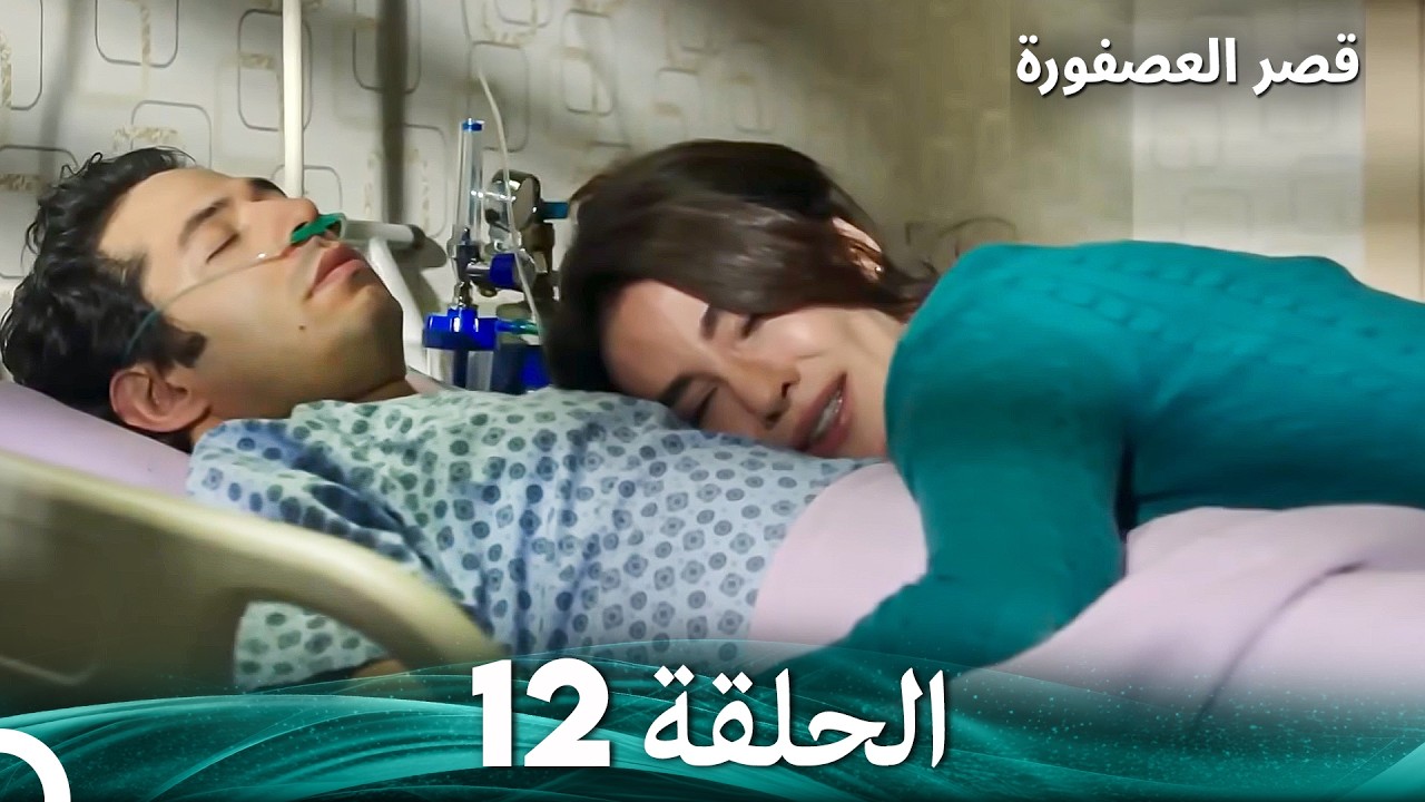 قصر العصفورة 12 النهاية (Arabic Dubbed)