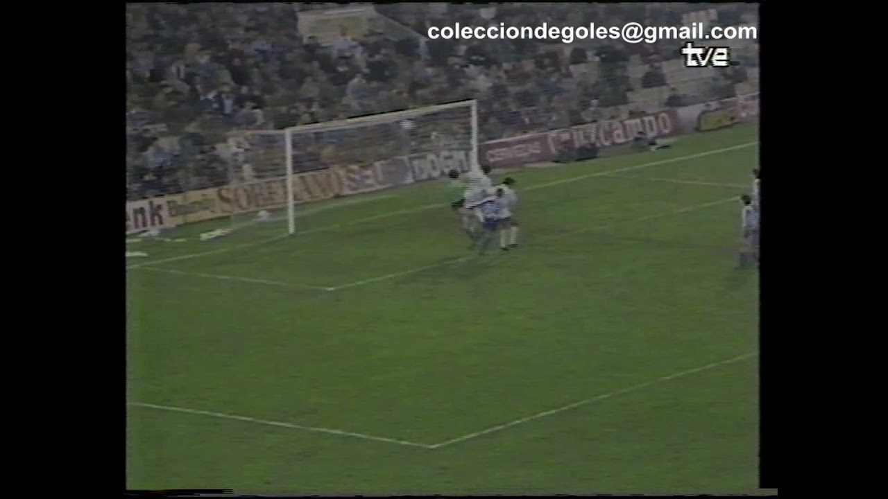 Goles Liga 1988-1989 Primera División Jornada 17