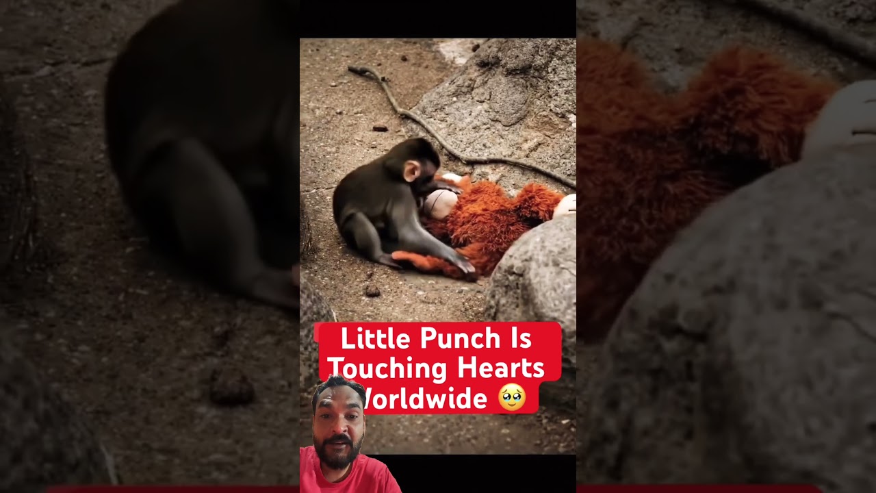 One Little Punch...😱❤️Hearts Touched #punch #viral #fyp