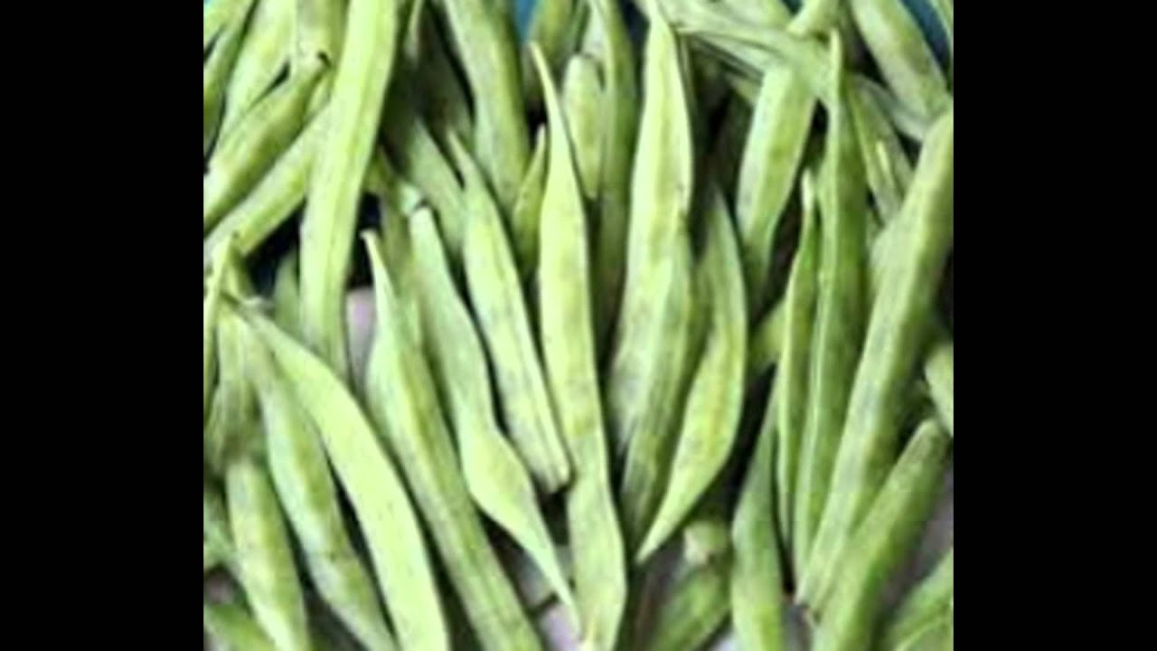 GUAR GUM CULTIVATION IN INDIA
