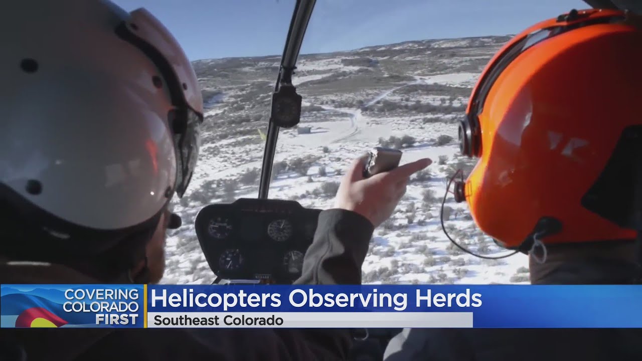 CPW Begins Wildlife Surveys From Low-Altitude Helicopter