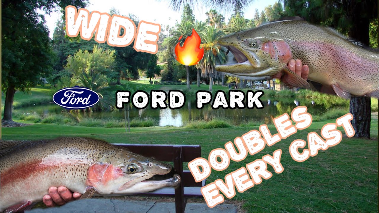 BIT EVERY CAST! WIDE TROUT BITE |FORD PARK|