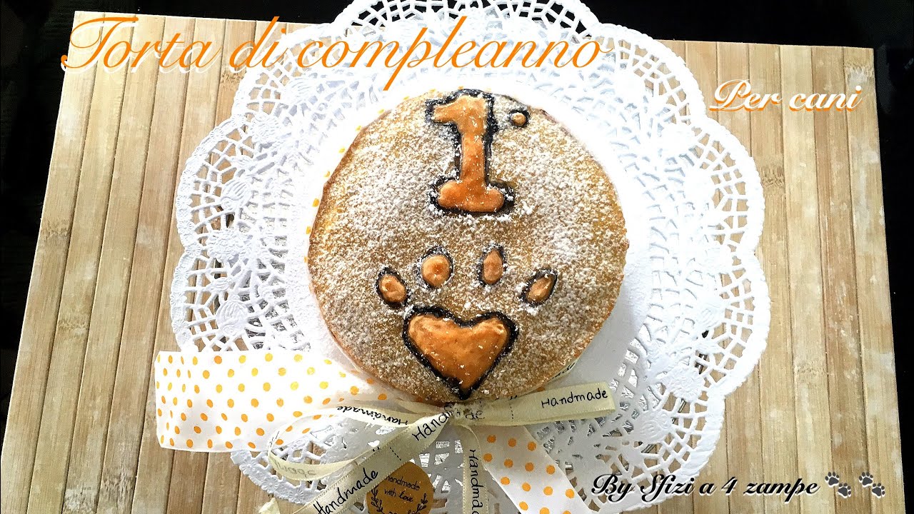 Torta di compleanno per cani - Torta salata pollo e carota - Sfizi a 4 zampe 🐾🐾